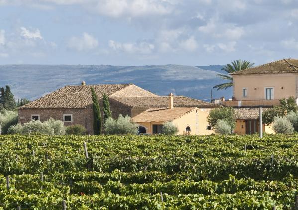 winetourinsicily en wine-tour-tasca-dalmerita-winery-regaleali-in-agrigento-area 007