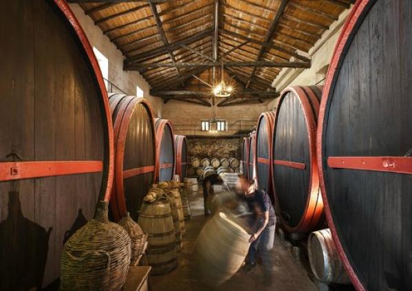 winetourinsicily en wine-tour-tasca-dalmerita-winery-regaleali-in-agrigento-area 070