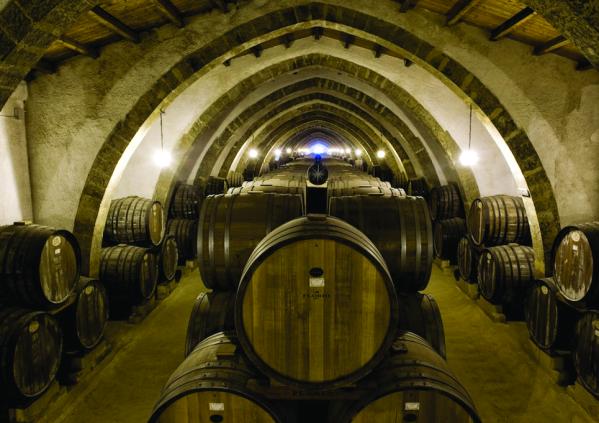 winetourinsicily en wine-tour-tasca-dalmerita-winery-regaleali-in-agrigento-area 043