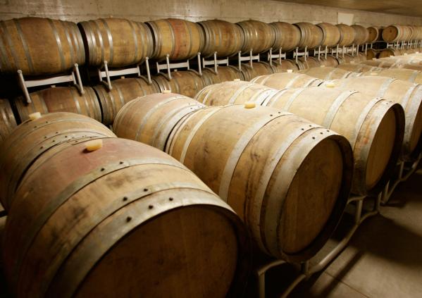 winetourinsicily en wine-tour-planeta-feudo-arancio-winery-in-trapani-area 058